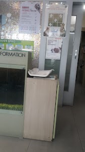 김태화동물병원